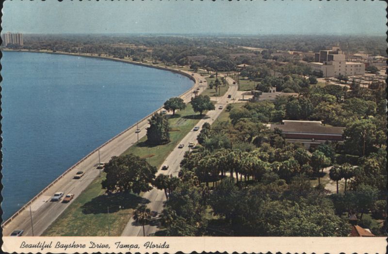 Beautiful Bayshore Drive, Tampa, Florida D. Stanfield