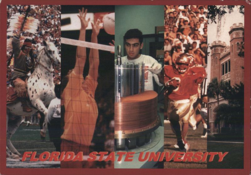 Florida State University Montage L.A. Rothstein Universities