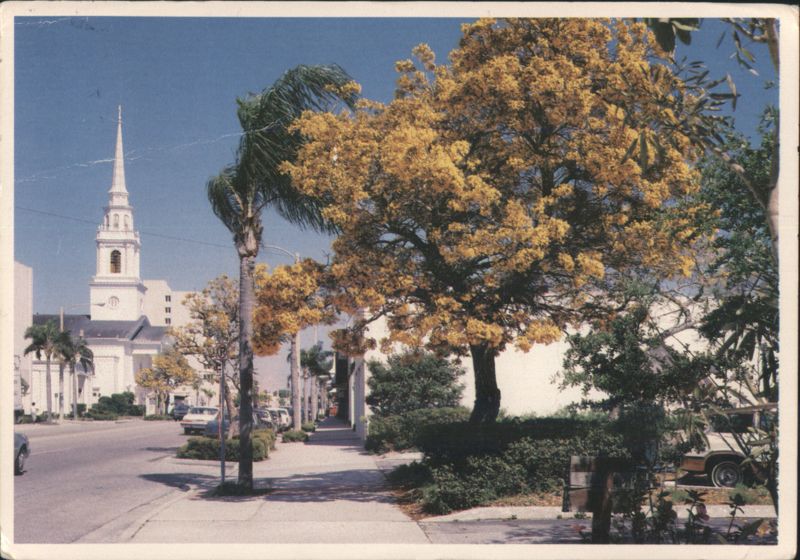 Tree of Gold, Main Street, Sarasota Florida Granville Wilde