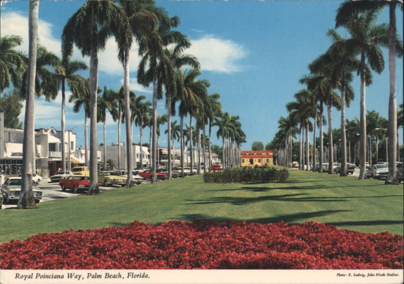 Royal Poinciana Way, Palm Beach, Florida E. Ludwig, John Hinde Studios