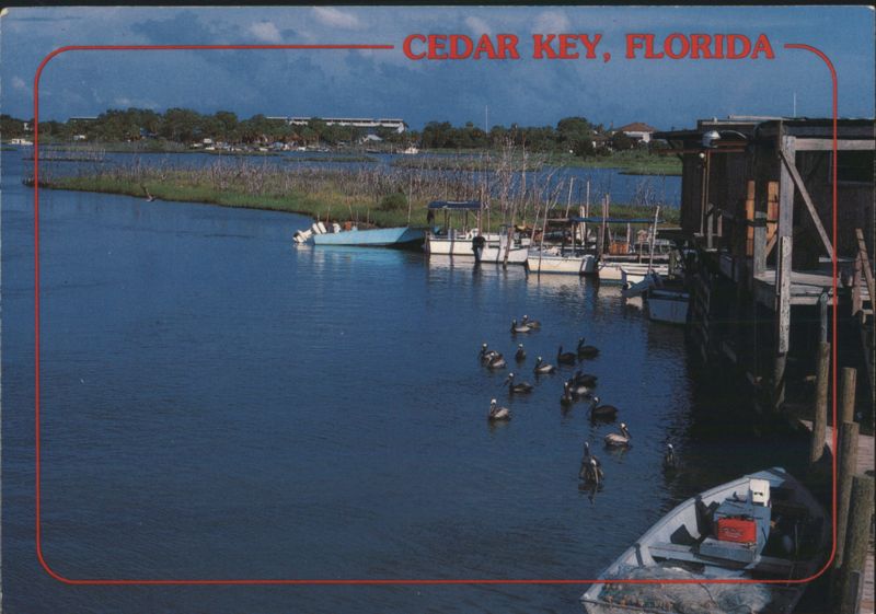 Waterfront Scene with Pelicans, Cedar Key, Florida