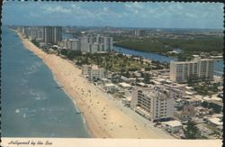 Aerial View, Hollywood Beach, Florida Postcard