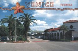 Street Scene, Venice, Florida Postcard