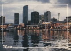 Miami Bayside at Night, Skyline View Postcard