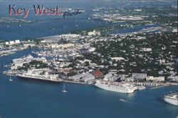 Key West, Florida Harbor and Cruise Ships Postcard