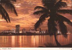 Eventide, Miami Skyline from McArthur Causeway Postcard
