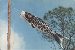 Japanese Fish Kite, Marco Polo Park, Florida Postcard