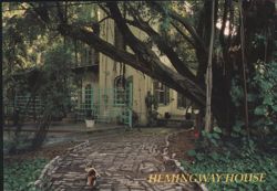 Hemingway House, Key West, FL Postcard