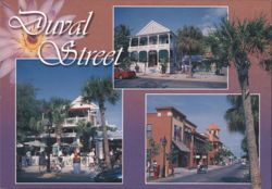 Duval Street, Key West, Florida Postcard