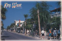 Duval Street, Key West, Florida Postcard