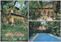 Key West, Hemingway Home Postcard
