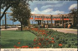 Skyrail Safari Monorail, Busch Gardens Postcard