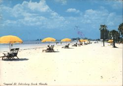 Tropical St. Petersburg Beach, Florida Postcard