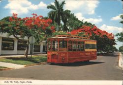 Dolly The Trolley, Naples, Florida Postcard