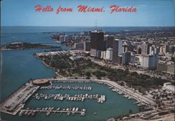 Aerial View: Miami, Miamarina, Bayfront Park Postcard