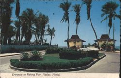 Entrance to Fishing Pier, Naples, Florida Postcard