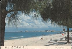 Pass-A-Grille Beach, Northward to St. Petersburg Skyline Postcard