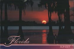 Florida Sunset, Cypress Trees & Spanish Moss Postcard