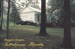 Pisgah Church, Tallahassee, Florida Postcard