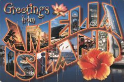 Greetings from Amelia Island, Large Letter Postcard