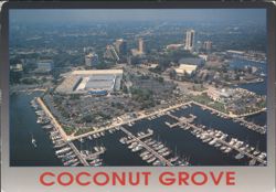 Coconut Grove: Skyline, Dinner Key Marina & Auditorium Postcard