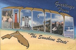 Greetings From FLORIDA, The Sunshine State - Large Letter Postcard
