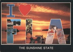 I Love FLA, The Sunshine State Postcard