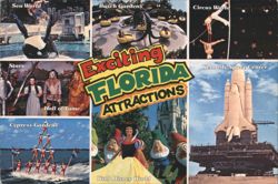 Exciting Florida Attractions Collage Postcard