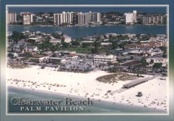 Clearwater Beach, Palm Pavilion Postcard