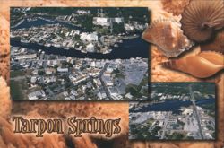 Tarpon Springs, Aerial Views and Seashells Postcard