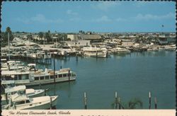 The Marina, Clearwater Beach, Florida Postcard