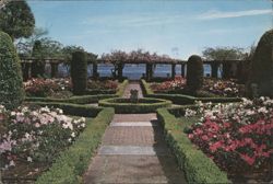 Cummer Gallery of Art Gardens, Jacksonville, FL Postcard