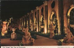 Kapok Tree Inn Garden Wall at Night, Clearwater, FL Postcard
