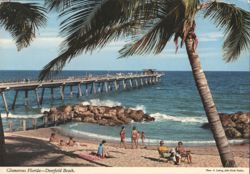 Deerfield Beach, Florida - Fishing Pier & Palm Tree Postcard
