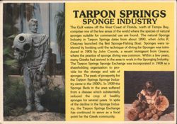 Tarpon Springs Sponge Industry Postcard