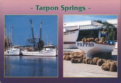 Tarpon Springs - Sponge Boats and Harvested Sponges Postcard