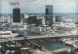 Tampa Skyline Postcard