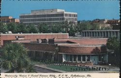 Florida State University Union & Social Science Building Postcard