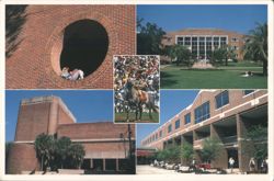 Florida State University Campus Views Postcard