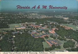Aerial View of Florida A & M University, Tallahassee Postcard