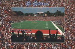 Go Gators! Florida Field Football Game Postcard