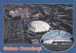 Gator Country! University of Florida Campus Aerial View Postcard