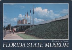 Florida State Museum, University of Florida Postcard