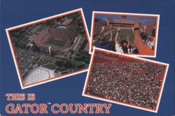 University of Florida Gators, Ben Hill Griffin Stadium Postcard