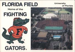 Florida Field, University of Florida Fighting Gators Postcard