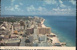 Tropical Miami Beach Postcard