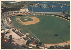 Al Lang Field, St. Petersburg, FL Postcard