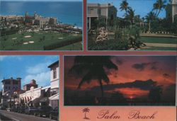 Impressions of Palm Beach, Florida Postcard