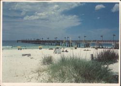 The County Pier, Panama City Beach, Florida Postcard