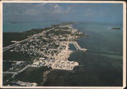 Tropical Key Largo, Florida Keys Postcard